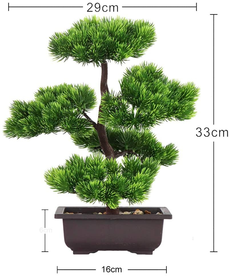 日本の松盆栽、家の装飾用、鉢植えの室内植物、デスクトップディ - Japanese Garden Bonsai のレビューと価格