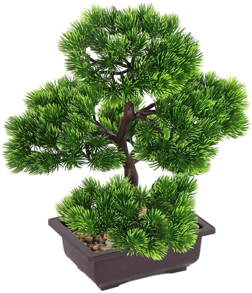 日本の松盆栽、家の装飾用、鉢植えの室内植物、デスクトップディ - Japanese Garden Bonsai のレビューと価格