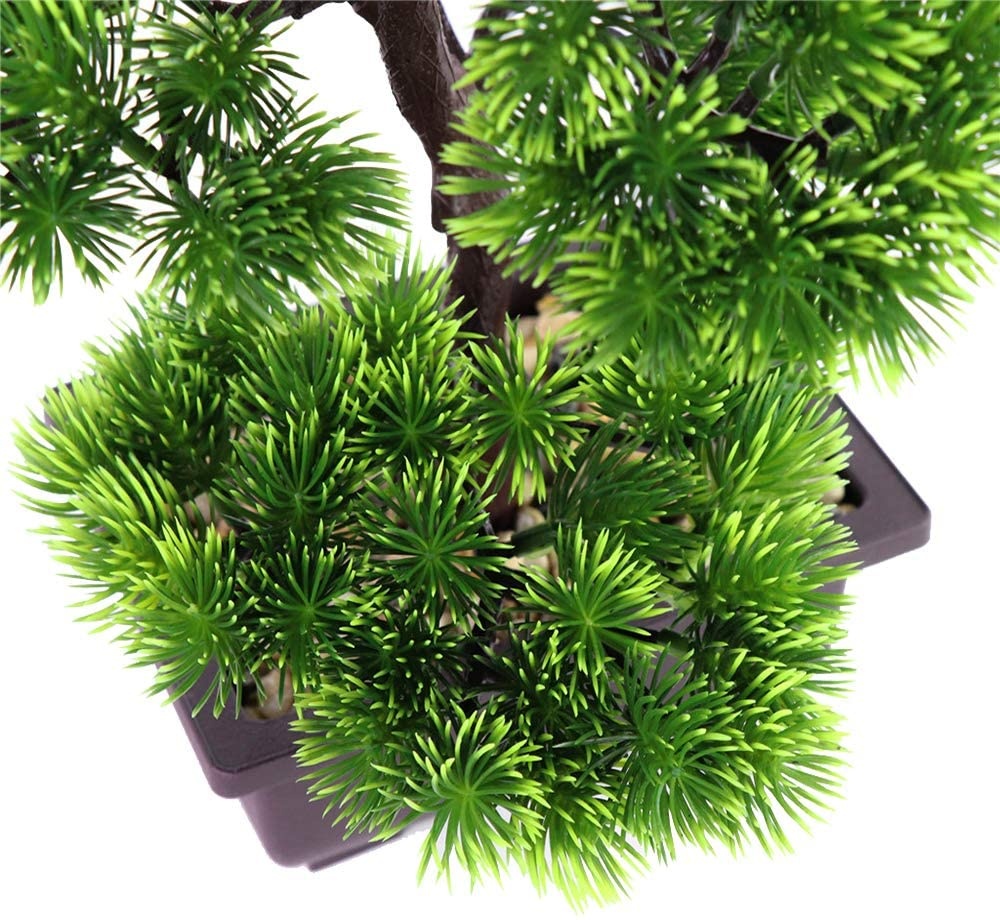 日本の松盆栽、家の装飾用、鉢植えの室内植物、デスクトップディ - Japanese Garden Bonsai のレビューと価格