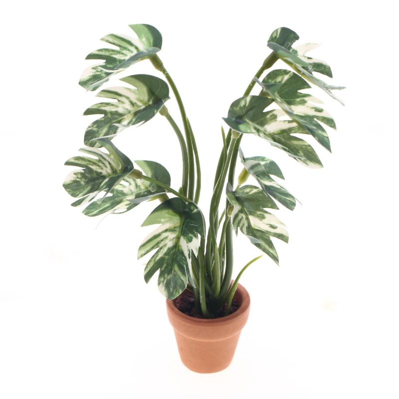 新発売 1/12 ドールハウス シミュレーション モンステラ - Bonsai Garden For Sale のレビューと価格