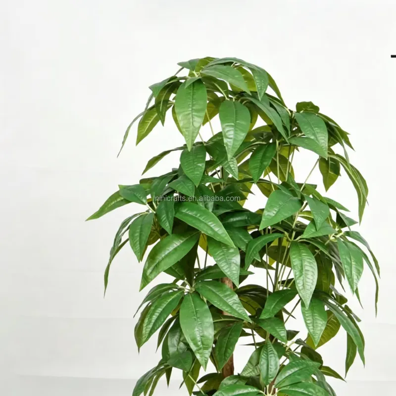 ホットセール 北欧スタイル 室内装飾 人工盆栽 金のなる木  - Bonsai Garden For Sale のレビューと価格
