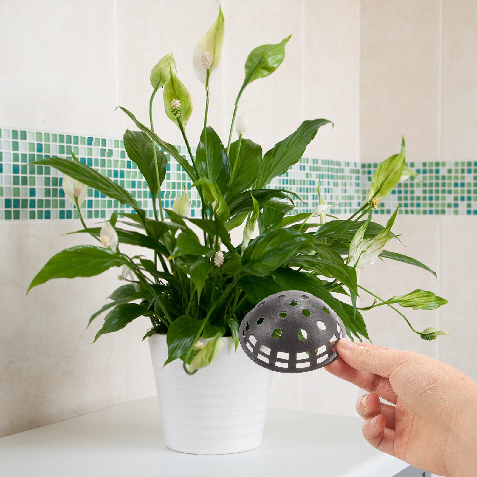 10個入り植木鉢穴用メッシュパッド プラスチック製排水ガスケ - Bonsai Garden Cafe のレビューと価格