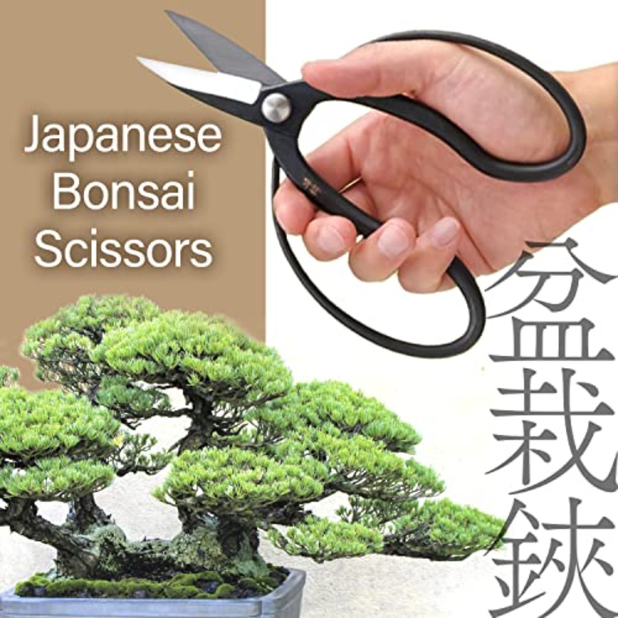日本の水龍盆栽鋏 - 伝統的なハサミ剪定鋏、日本の盆栽園芸工 - Bonsai Garden In Japan のレビューと価格