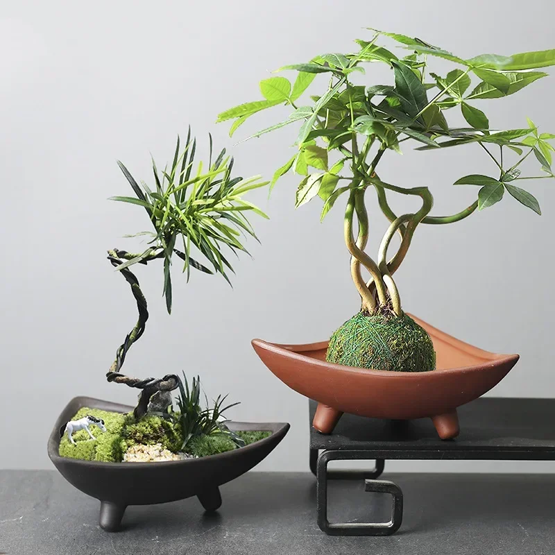 屋内植物用のパーソナライズされたセラミック植木鉢、紫色の土鍋 - Japanese Garden Bonsai のレビューと価格