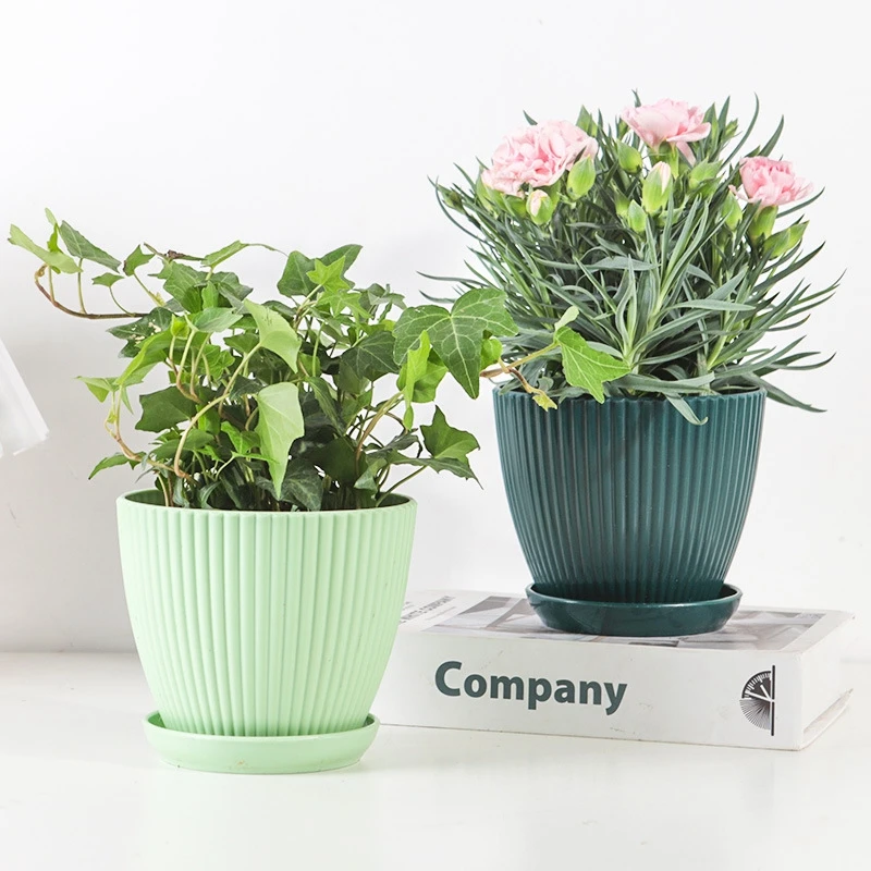 コンテナ付き多肉植物の丸いポット、プラスチック製の植木鉢、垂 - Japanese Garden Bonsai のレビューと価格
