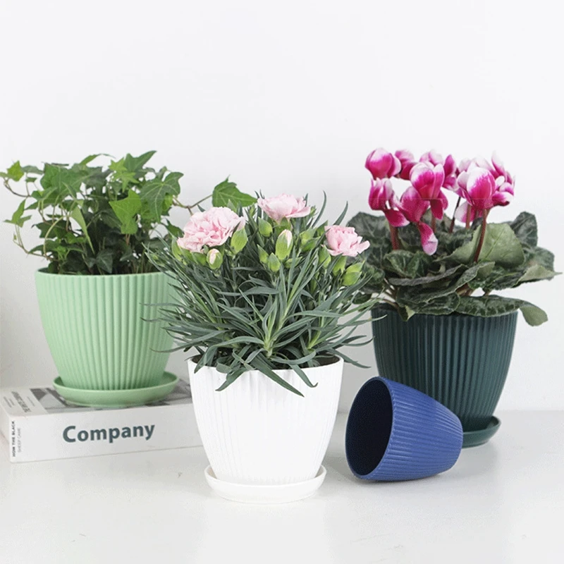 コンテナ付き多肉植物の丸いポット、プラスチック製の植木鉢、垂 - Japanese Garden Bonsai のレビューと価格