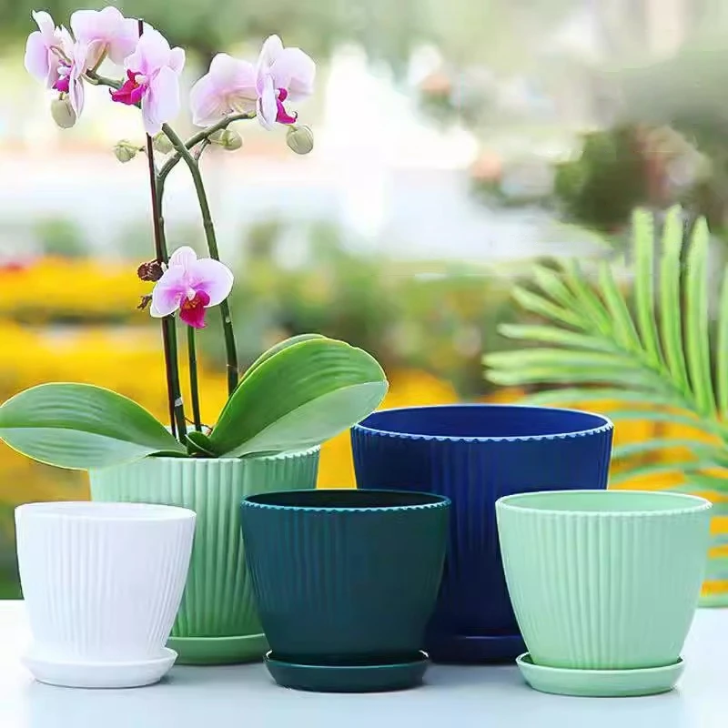 コンテナ付き多肉植物の丸いポット、プラスチック製の植木鉢、垂 - Japanese Garden Bonsai のレビューと価格