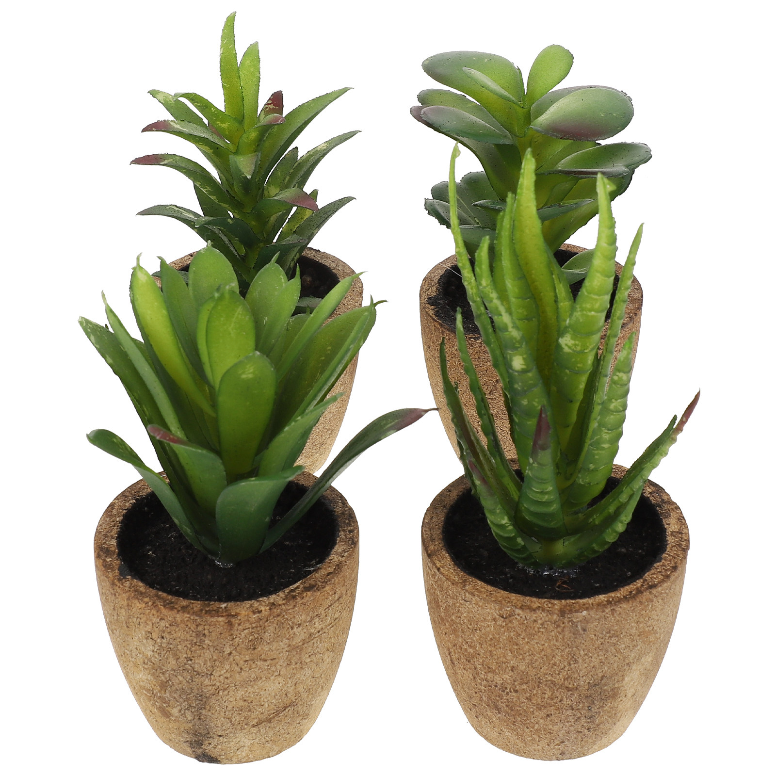 4個入り シミュレーション多肉植物 人工ミニ鉢植え ホームオ - Bonsai Garden Cafe のレビューと価格